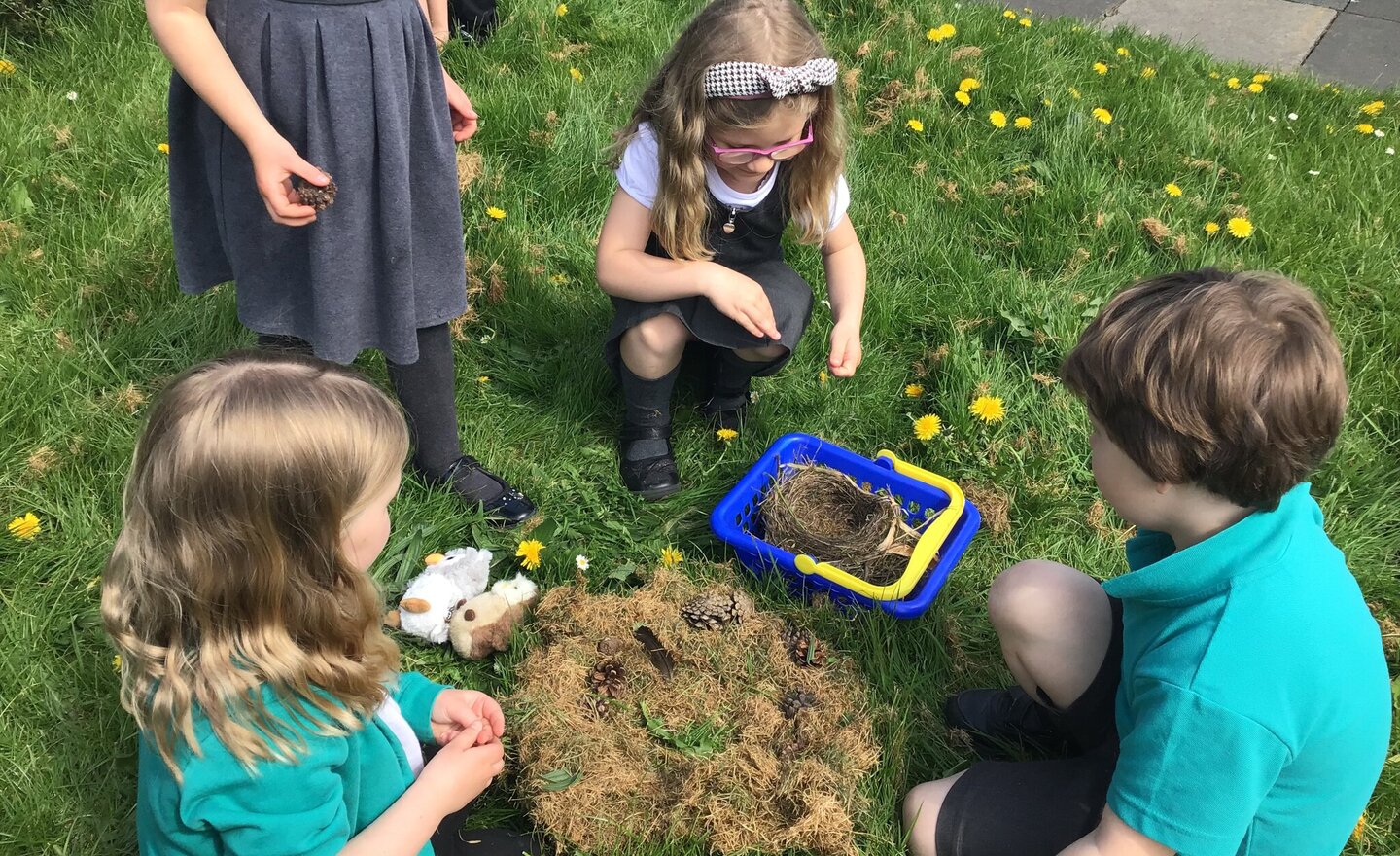 Image of Making Birds Nests